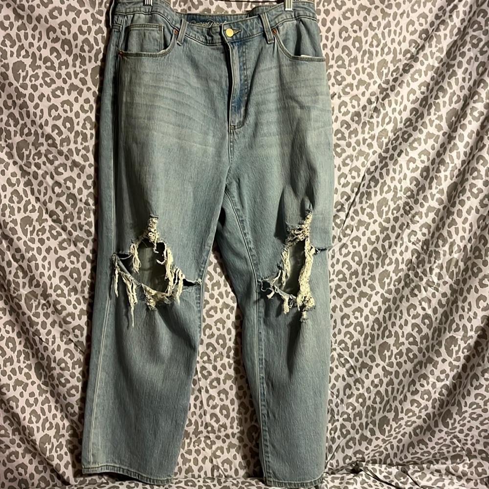 Never worn only tried on w/o tags Universal Thread distressed Jeans size 16/33